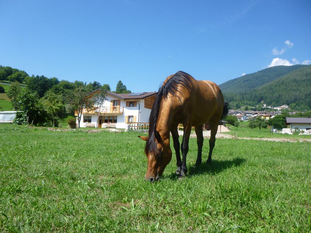 Agriturismo Fattoria Dalcastagne Villa Torcegno Exteriör bild